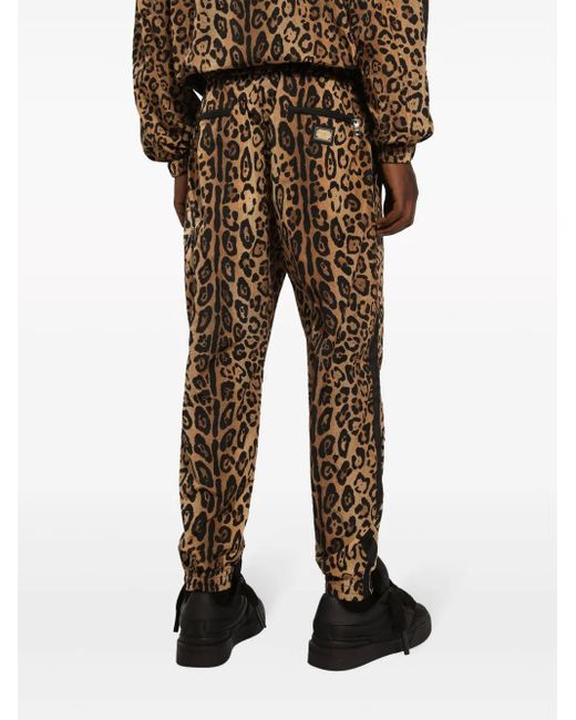 メンズ Dolce & Gabbana レオパード トラックパンツ Brown