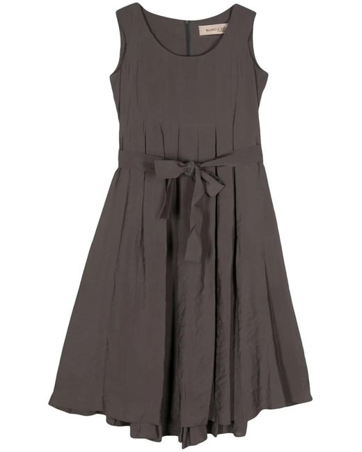 Blanca Vita Brown Sleeveless Pleated Midi Dress