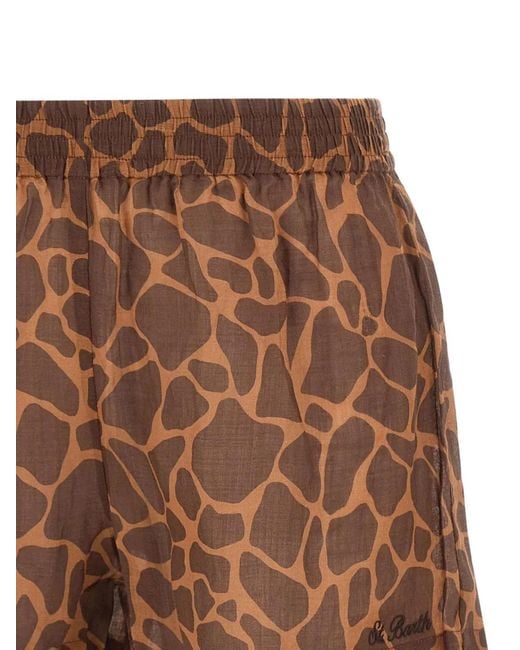 Mc2 Saint Barth Brown Meave Shorts