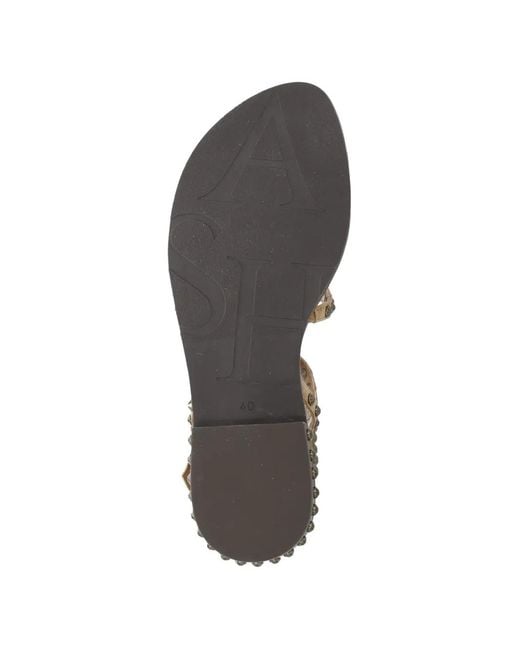 Ash Brown Precious Sandals