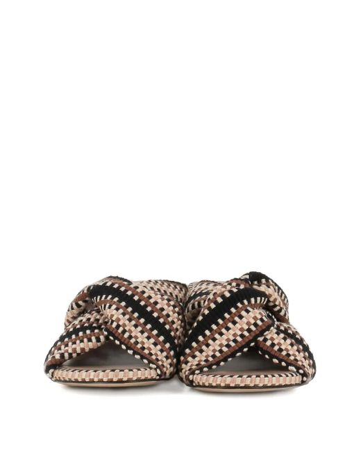 Mules Brilah di Amambaih in Natural