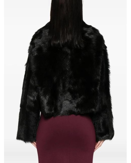 Giacca Crop Con Bottoni di Alberta Ferretti in Black