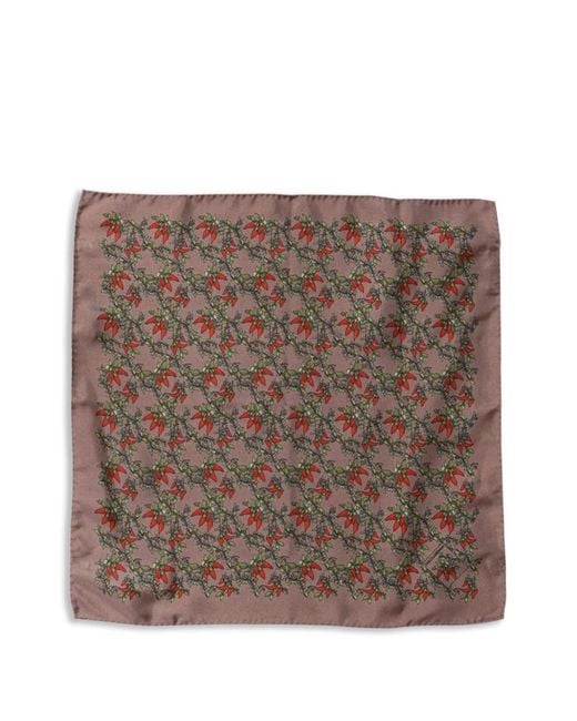 Dolce & Gabbana Brown Chili-Print Silk Pocket Square for men