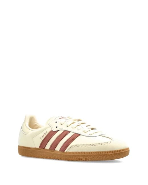 Adidas Natural Samba Sneakers