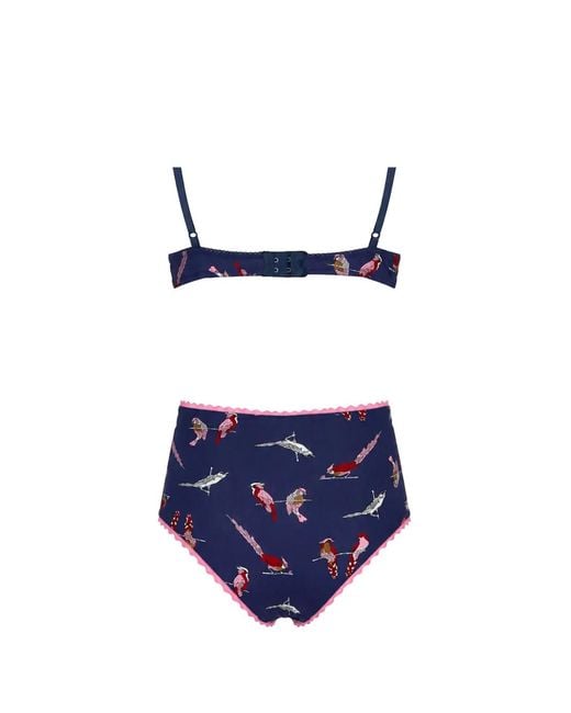 Laura Urbinati Blue Soutien-Gorge Imprimé À Bords Festonnés