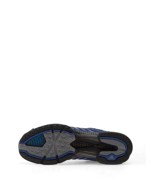Adidas Blue Climacool 1 Sneakers for men