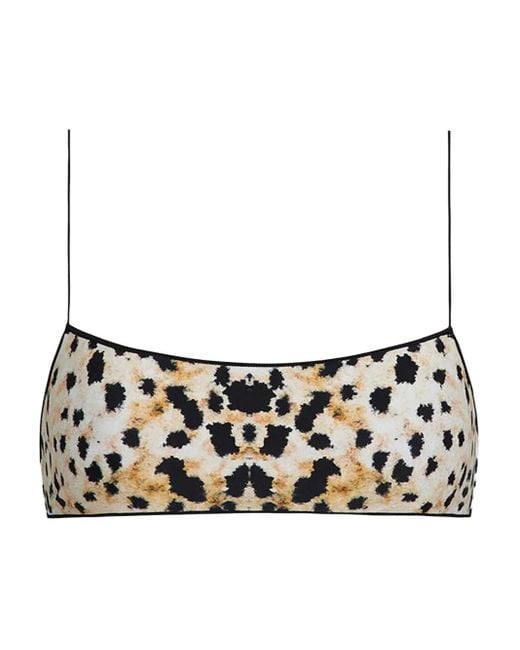 Tropic of C Black The C Bikini Top