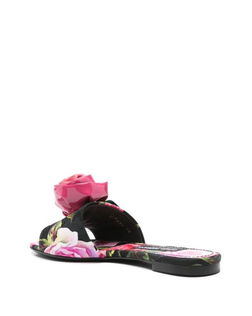 Dolce & Gabbana Pink Floral-Print Slides