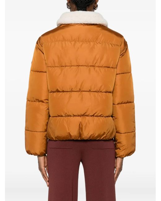 Save The Duck Orange Honey Faux-Shearling Trim Jacket