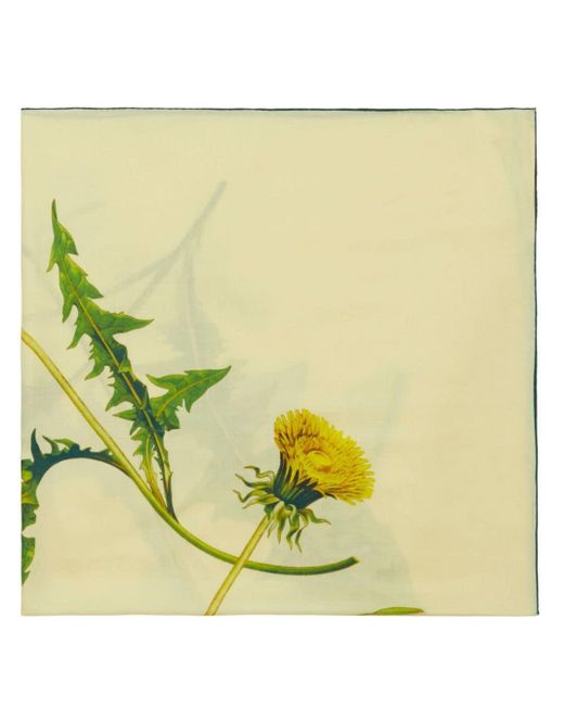 Burberry Yellow Dandelion-print Square Scarf