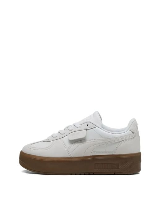 PUMA White Palermo Elevata Premium Sneakers