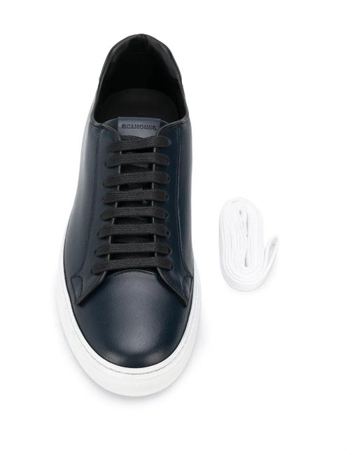 Scarosso Blue Low Top Ugo Sneakers for men