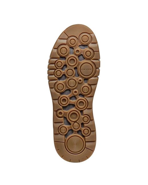 Geox Brown Aerantis 4X4 Abx Lace-Up Boots for men