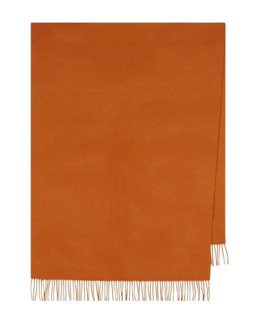 Sciarpa di Max Mara in Orange