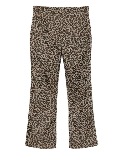 Needles Gray Leopard-Print Trousers for men