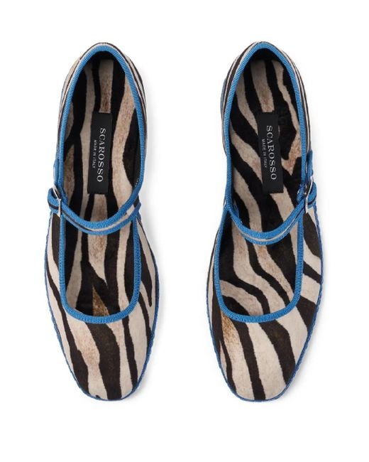 Scarosso Blue Petra Ballerinas