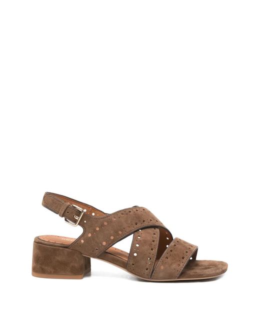 Bruno Premi Brown Perforated Crossover Sandals