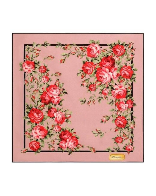 Dolce & Gabbana Pink Rose Floral-Print Scarf