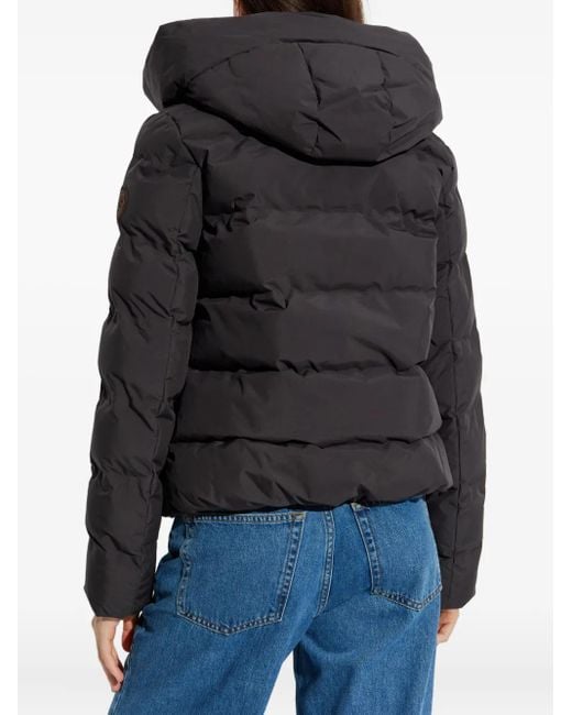 Save The Duck Gray Arena Hooded Puffer Jacket