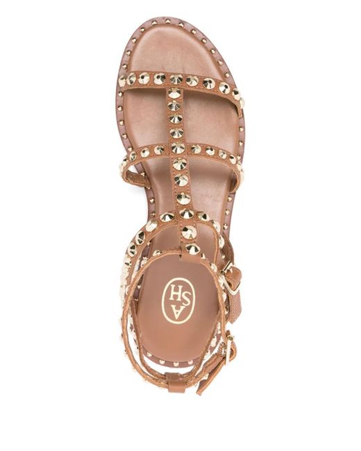 Ash Brown Precious Sandals