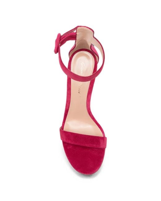Gianvito Rossi Pink Buckle-Fastening Sandals