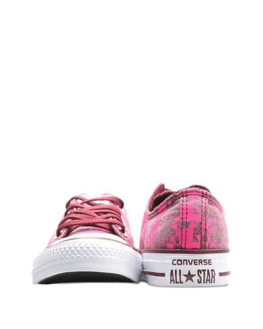 Converse Pink Chuck Taylor All Star Ox Print Bordeau/ Sneakers 549683C