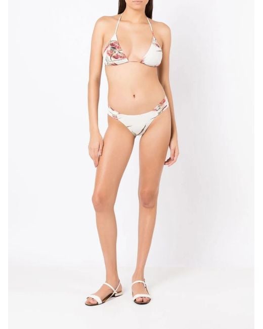 Clube Bossa Natural Percy Floral-Print Bikini Bottoms