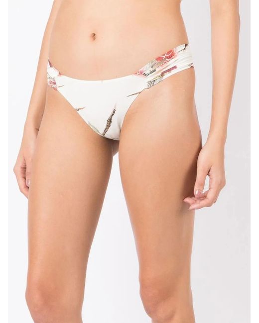 Clube Bossa Natural Percy Floral-Print Bikini Bottoms