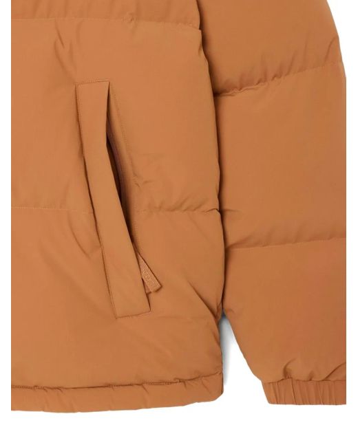 Lacoste Brown Quilted Puffer Jacket for men