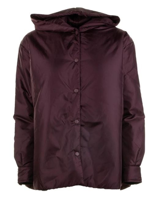 Giacca Con Cappuccio di Aspesi in Purple
