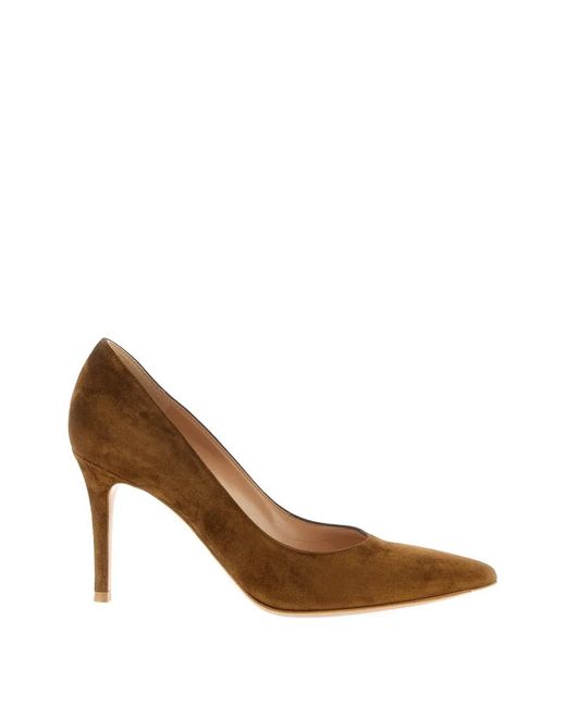 Gianvito Rossi Brown Pointed Suede Pumps