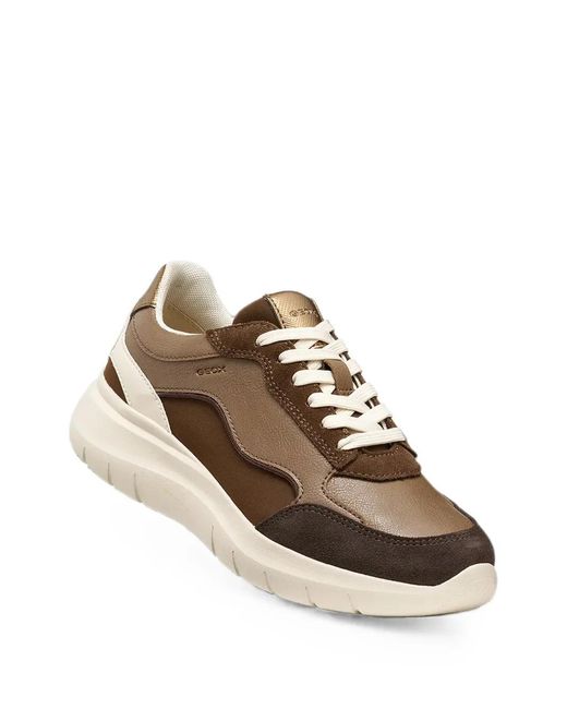 Geox Brown Panelled Leather Sneakers
