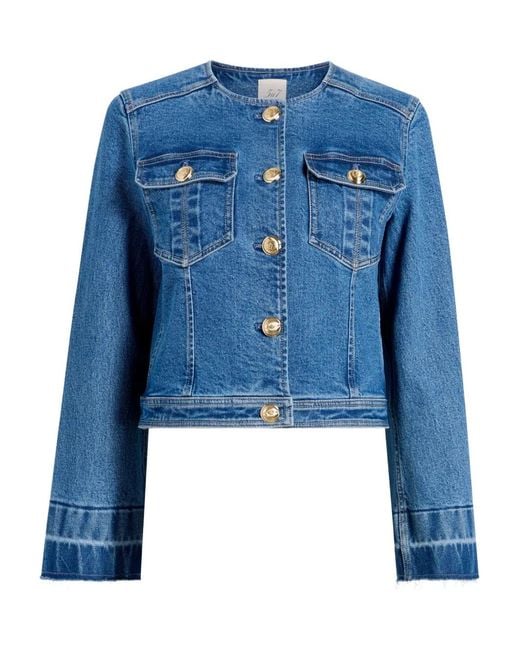 Cinq À Sept Blue Travis Buttoned Jacket