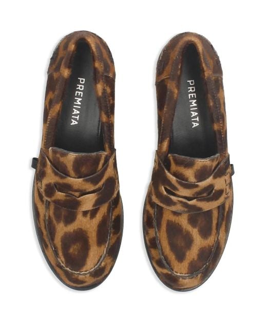 Premiata Brown Siria Loafers