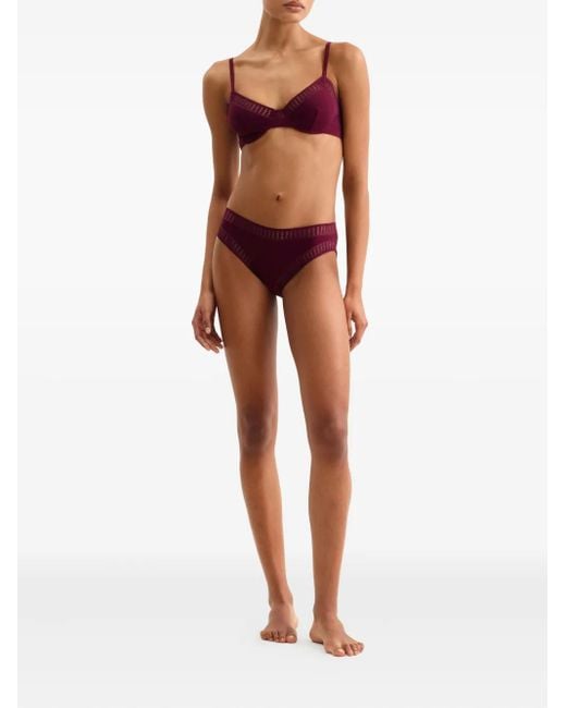 Eres Purple Bh Mit Gestreifter Spitze