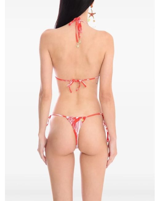Amir Slama Red X Jade Picon Bikini À Imprimé Animalier