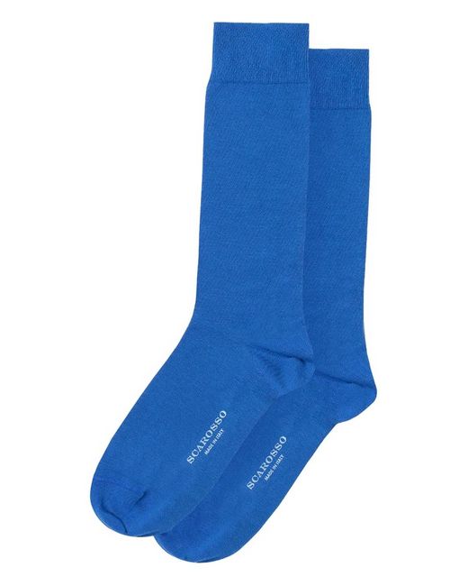 Scarosso Blue Text Print Socks for men