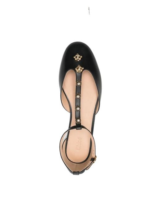 Chloé Brown Celeste Flat Pumps