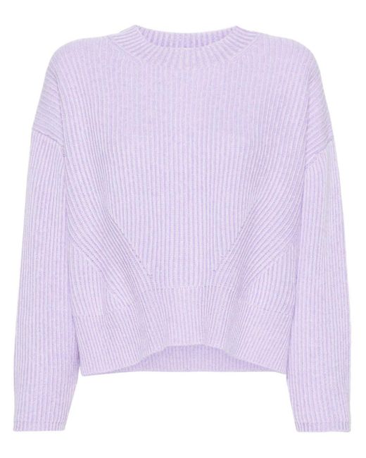 Allude リブニット セーター Purple