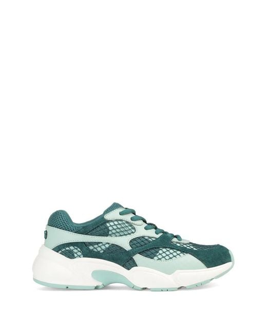 Sergio Rossi Green Surge Sport Panelled Sneakers