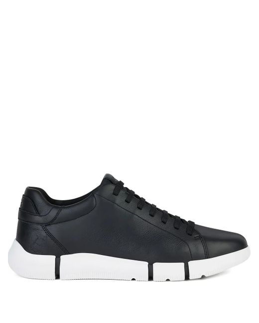 Geox Black Adacter Leather Lace-Up Sneakers for men