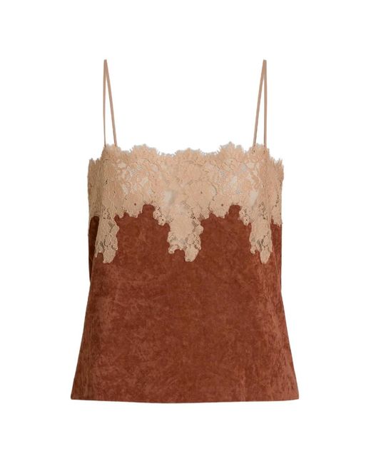 Alberta Ferretti Brown Lace Camisole
