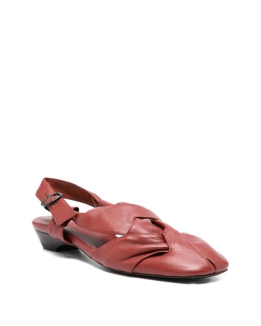 Hereu Red Maia