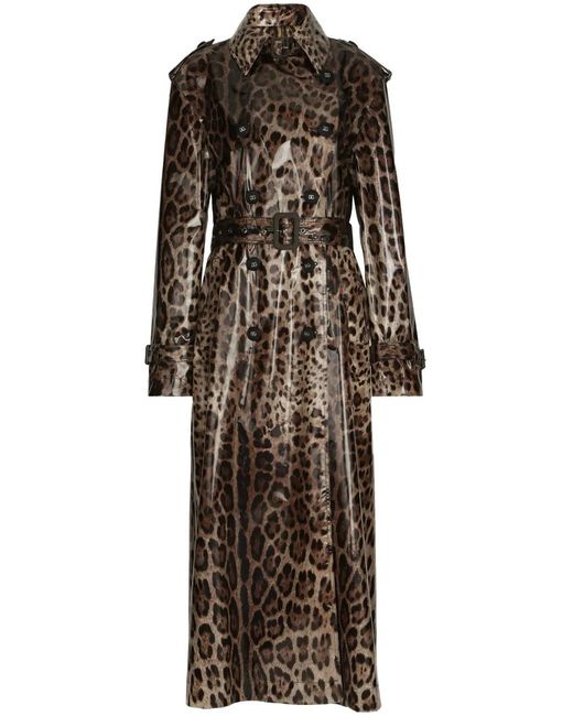 Dolce & Gabbana Brown Leopard-Print Coated Sateen Trench Coat