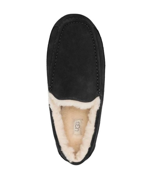 Ugg Black Ascot Lace-Up Sneakers