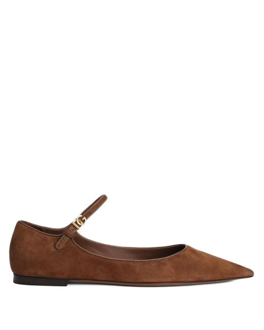 Ballerine A Punta di Dolce & Gabbana in Brown