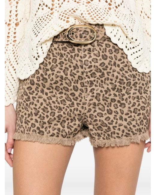 Twinset Brown Leopard-Pattern Shorts