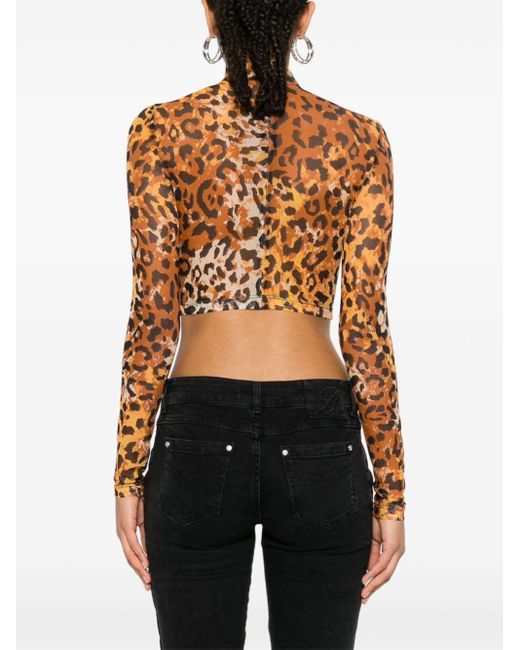 Just Cavalli Orange Leopard-print Cropped Top