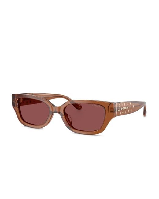 COACH Brown Logo-Plaque Square Sunglasses