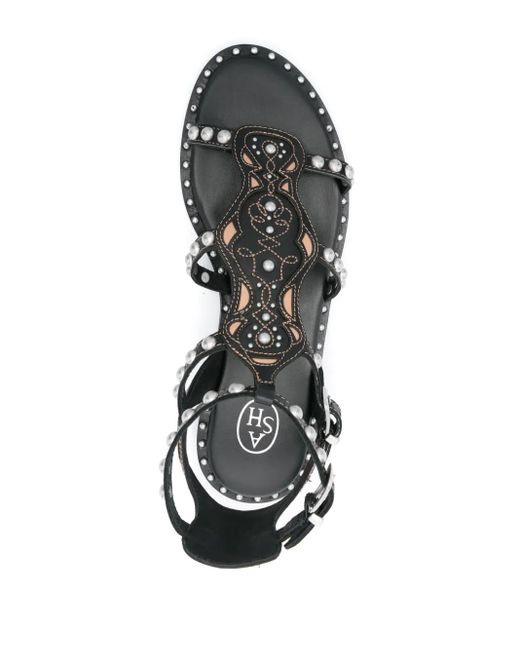Ash Black Plaza Sandalen